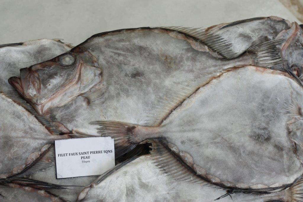 John dory