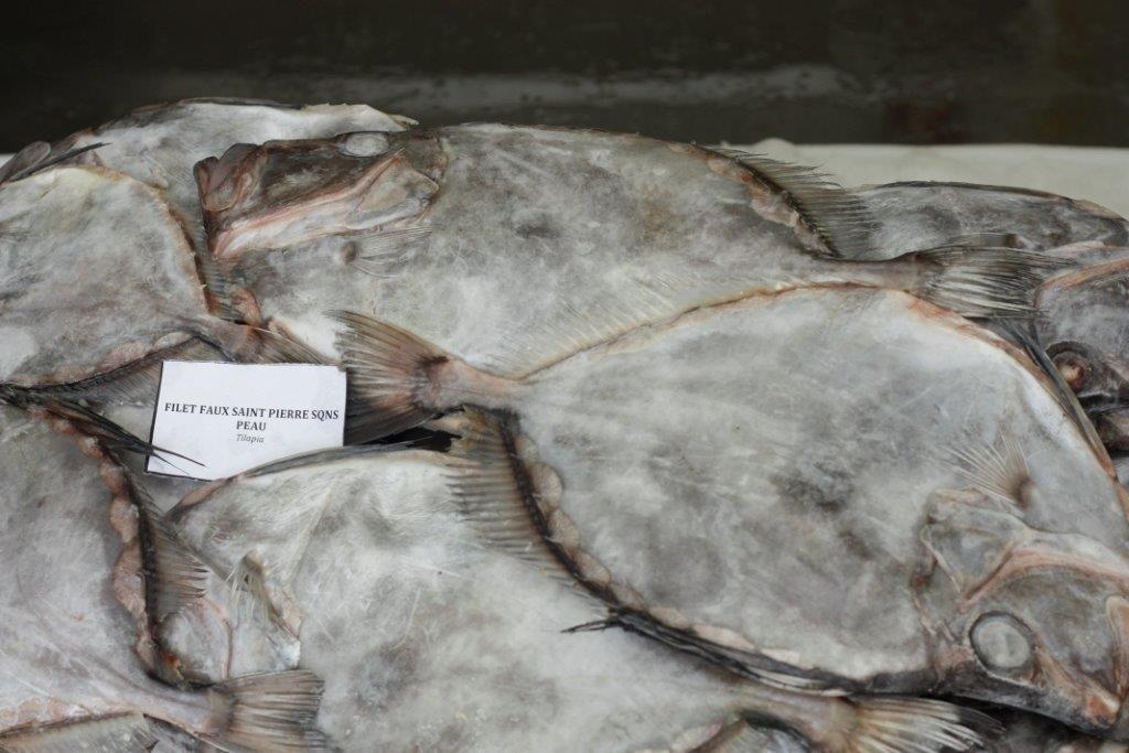 Buy online b2b John dory