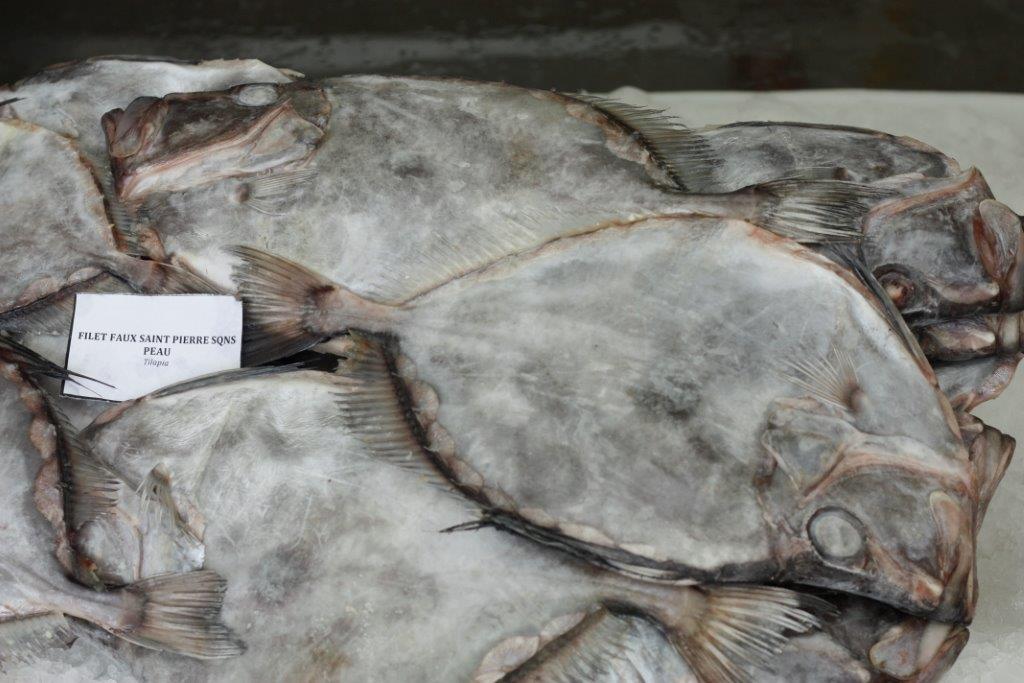 Buy online b2b John dory