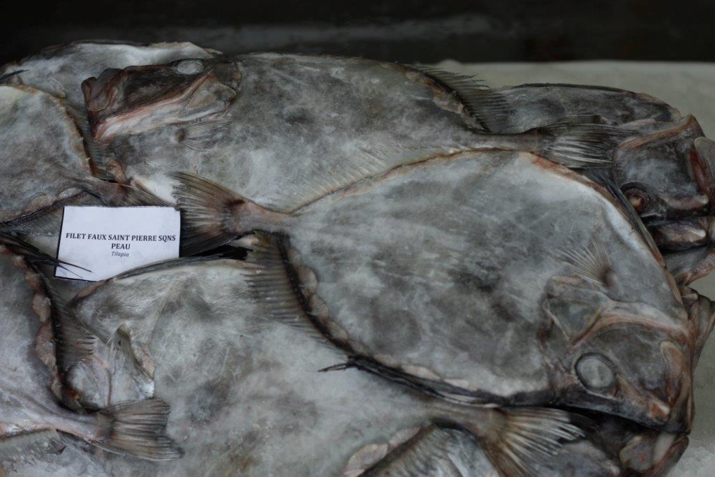 Buy online b2b John dory