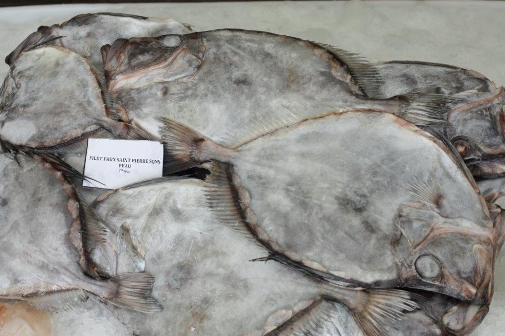 Buy online b2b John dory
